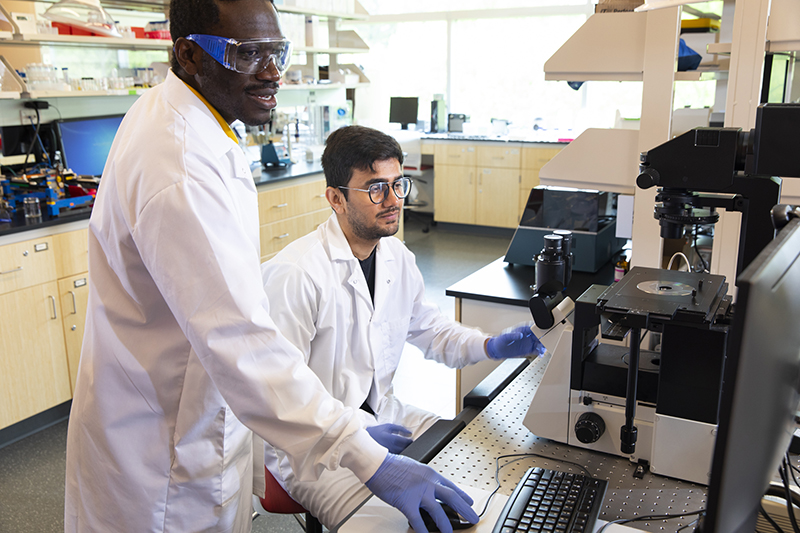 Four international students work in an engineering lab.