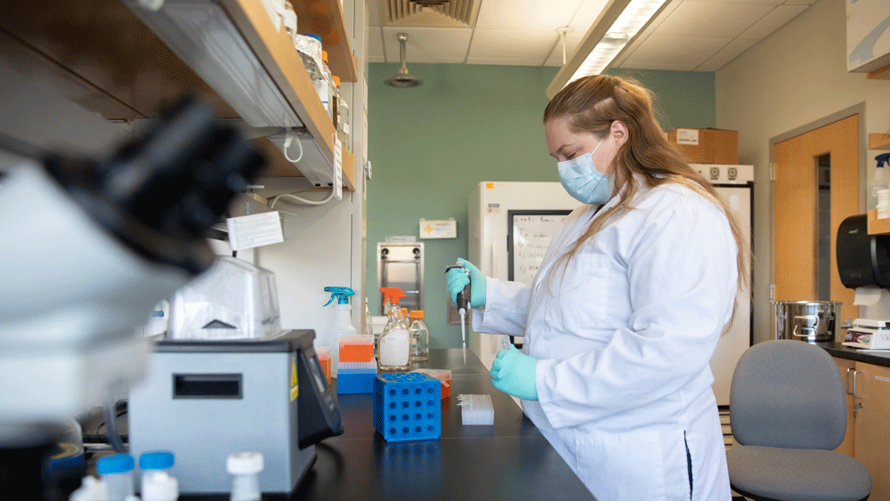 Rowan biomedical engineering student performs research.